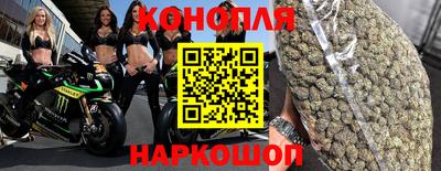 мяу мяу мука Будённовск