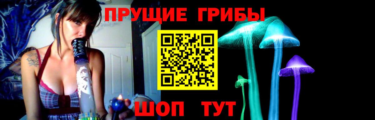 Псилоцибиновые грибы Psilocybe Лабытнанги